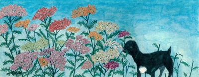 work_image_Baby goat_Yerang Hwang